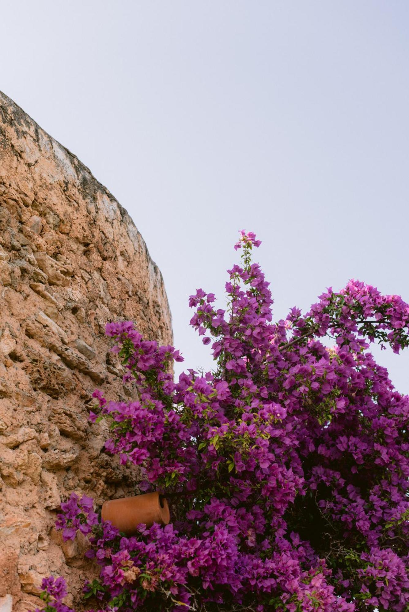 Can Quince Balafia Ibiza Hotel - Turismo De Interior Làng Sant Llorenç de Balafia Ngoại thất bức ảnh