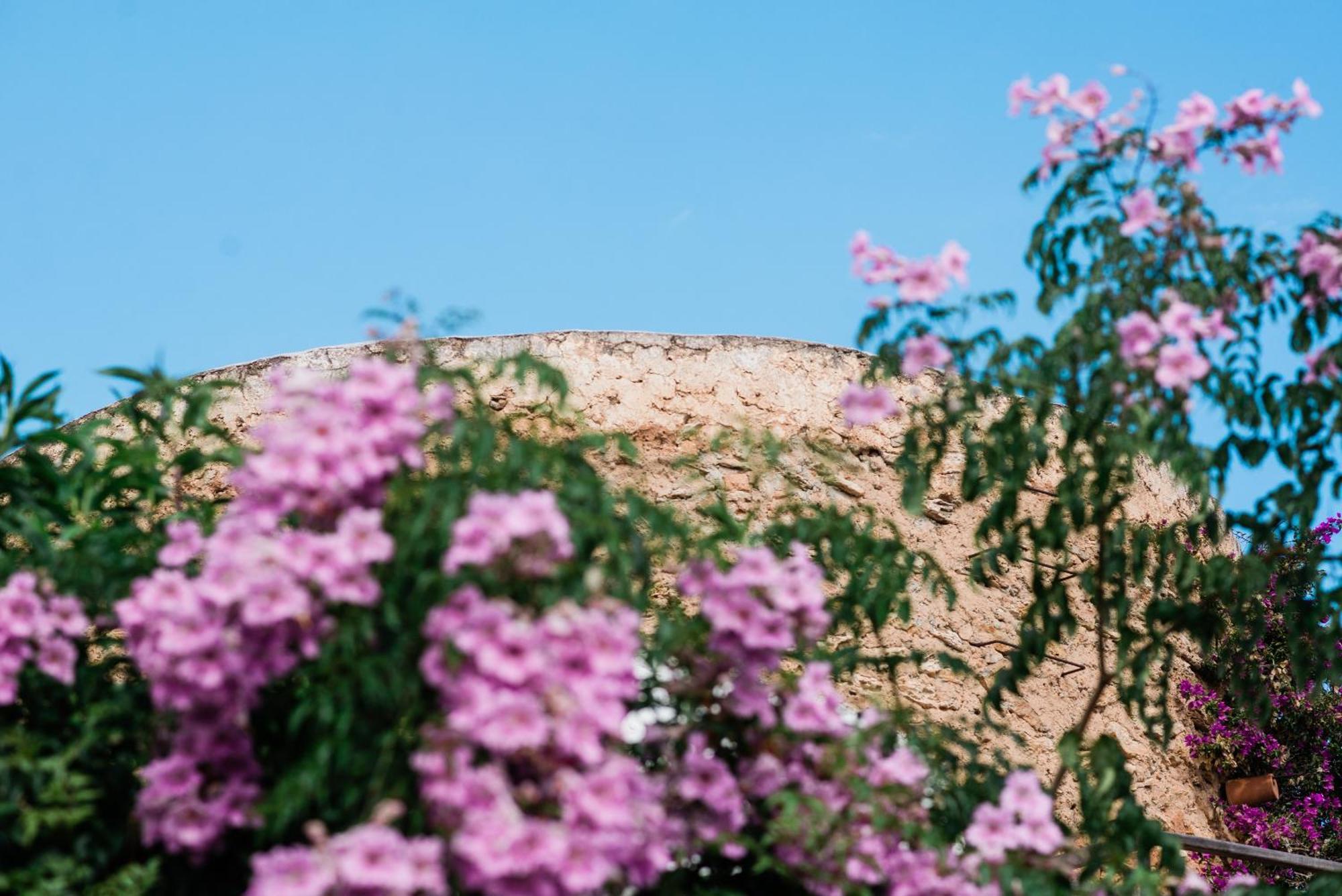 Can Quince Balafia Ibiza Hotel - Turismo De Interior Làng Sant Llorenç de Balafia Ngoại thất bức ảnh