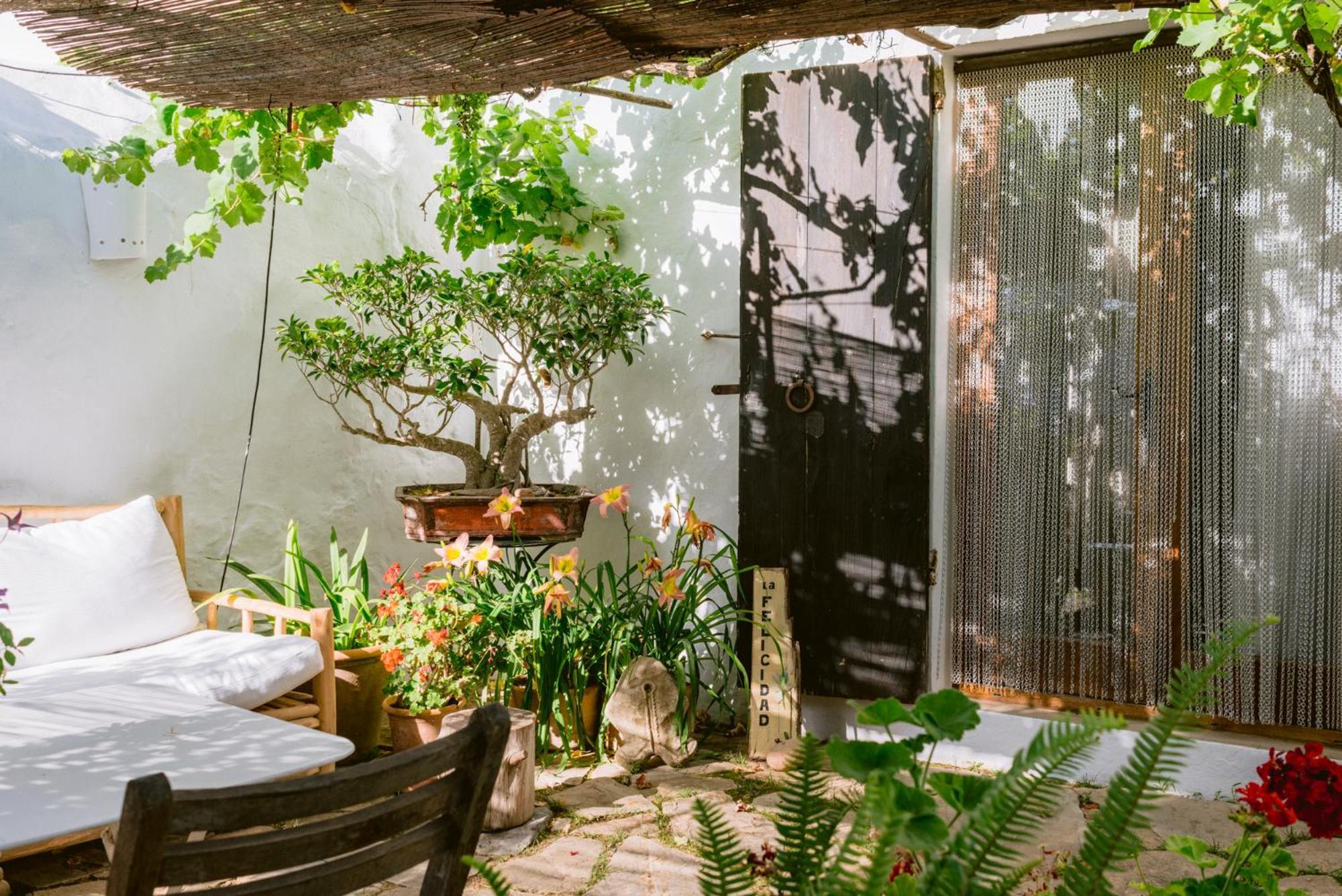 Can Quince Balafia Ibiza Hotel - Turismo De Interior Làng Sant Llorenç de Balafia Ngoại thất bức ảnh