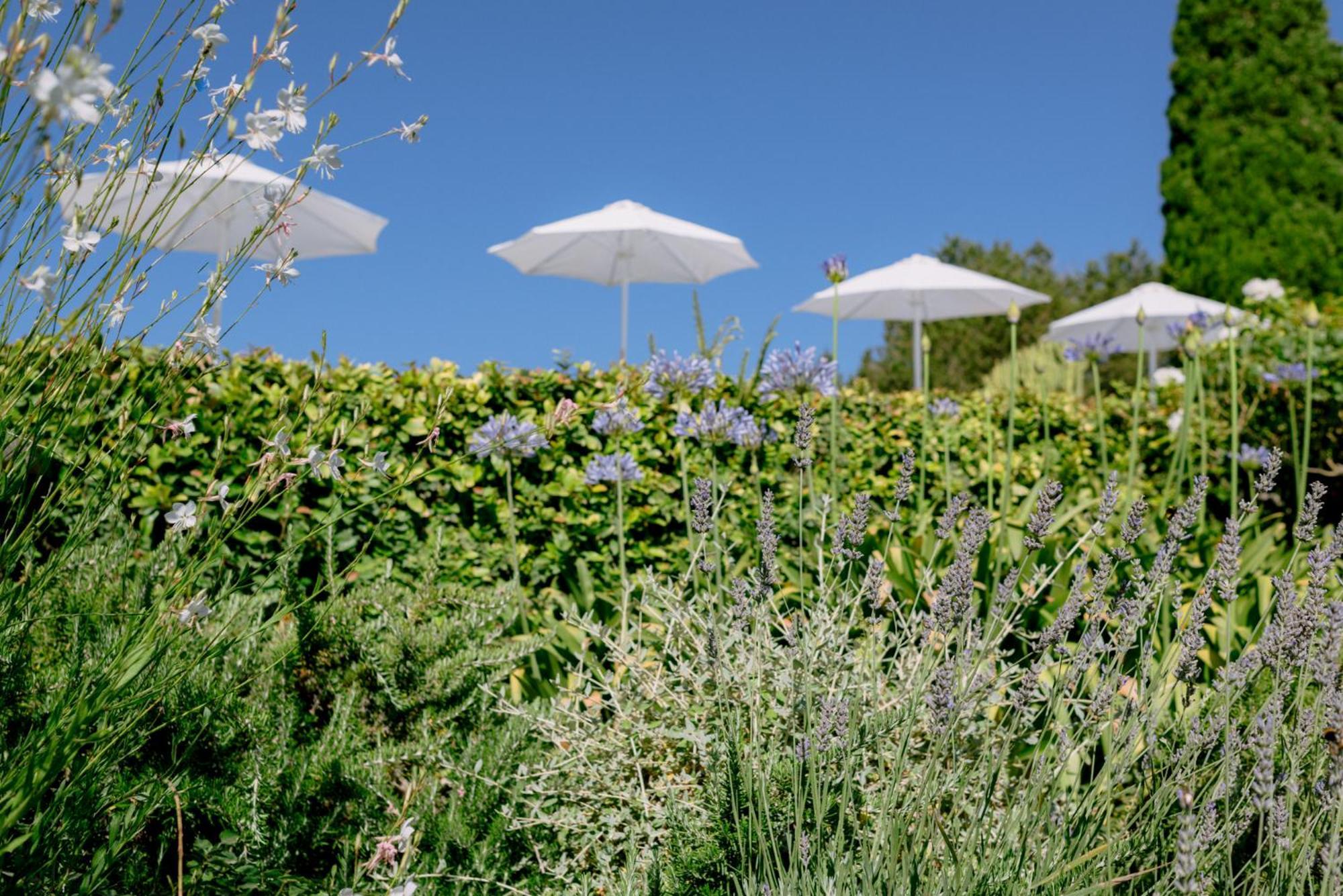 Can Quince Balafia Ibiza Hotel - Turismo De Interior Làng Sant Llorenç de Balafia Ngoại thất bức ảnh