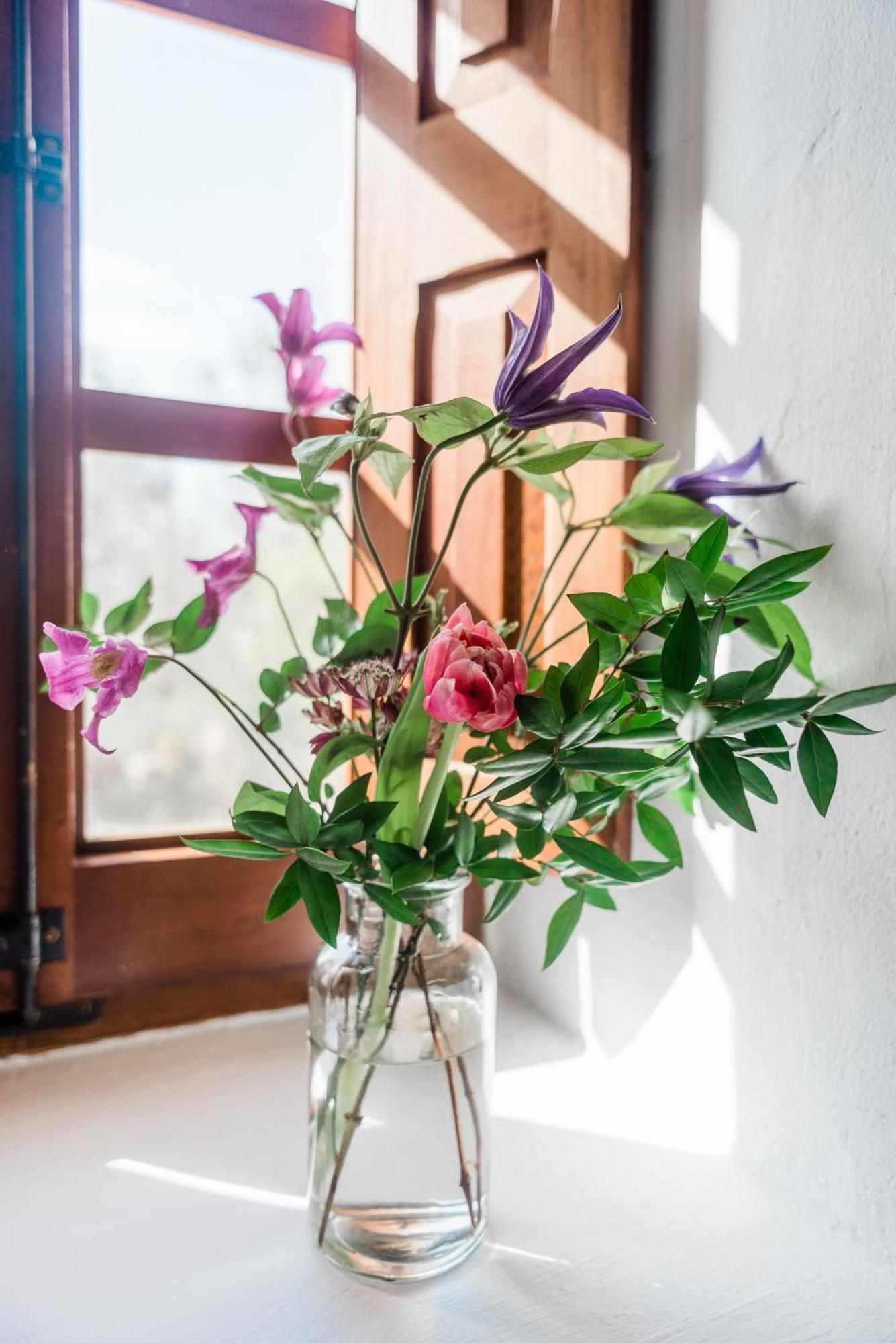 Can Quince Balafia Ibiza Hotel - Turismo De Interior Làng Sant Llorenç de Balafia Ngoại thất bức ảnh